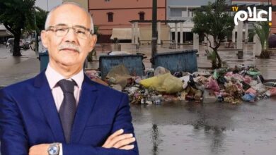 جمال بن ربيعة الجديدة
