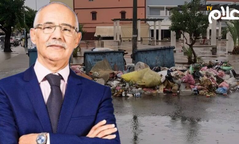 جمال بن ربيعة الجديدة