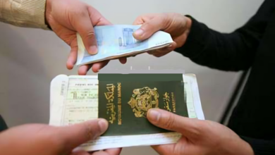 القنصلية الإسبانية تكشف عن شبكة تزوير تأشيرات شنغن