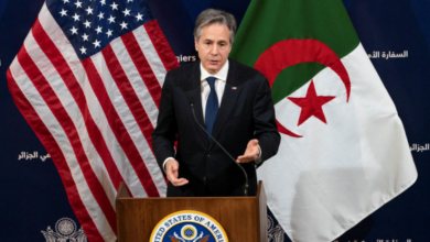 أمريكا الجزائر